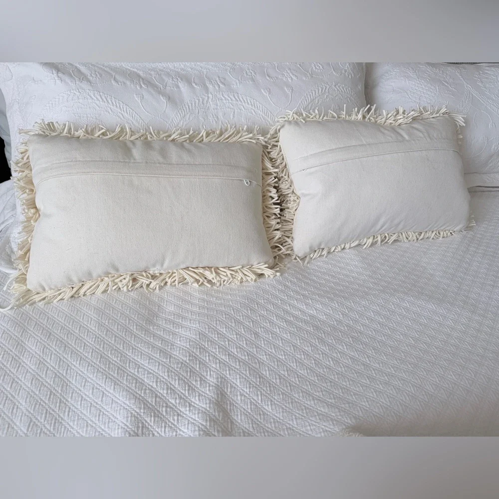Crate & Barrel Remy Throw Pillows (2)